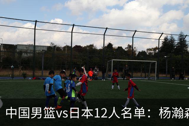 中国男篮vs日本12人名单：杨瀚森PK日本归化内线霍金森领衔4组对决