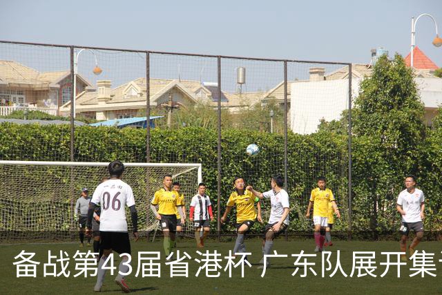 备战第43届省港杯 广东队展开集训 周穗安任主帅
