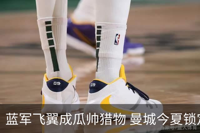 蓝军飞翼成瓜帅猎物 曼城今夏锁定佩德罗·内托